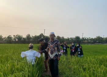 ” Manekin Sawah ” Buah Karya KKM 32 Uniba Guna Usir Hama di Sawah Desa Tanara
