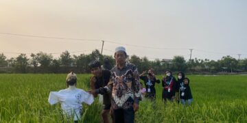 ” Manekin Sawah ” Buah Karya KKM 32 Uniba Guna Usir Hama di Sawah Desa Tanara