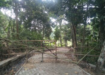 Pemdes Gerendong Diduga Serobot Lahan Milik Warga Untuk Bangun Paving Blok dan TPT