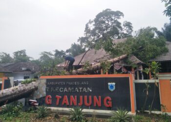 Puluhan Bangunan Warga di Karangtanjung Alami Kerusakan Setelah Di Sapu Angin Puting Beliung
