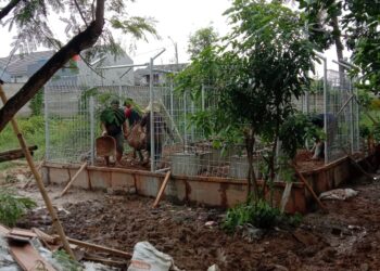 Pembangunan Tower Telekomunikasi Milik PT BMS di Cipondok, Curugbadak Diduga Belum Kantongi Izin PBG