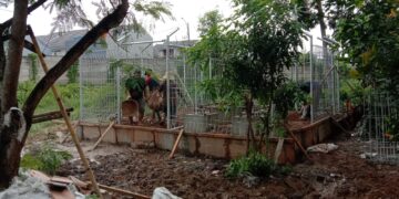 Pembangunan Tower Telekomunikasi Milik PT BMS di Cipondok, Curugbadak Diduga Belum Kantongi Izin PBG