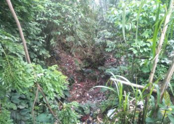 Warga Sepanjang Kali Mati Karangtanjung Khawatir, Tumpukan Sampah Bisa Memicu Penyakit DBD
