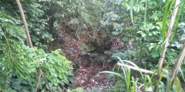 Warga Sepanjang Kali Mati Karangtanjung Khawatir, Tumpukan Sampah Bisa Memicu Penyakit DBD