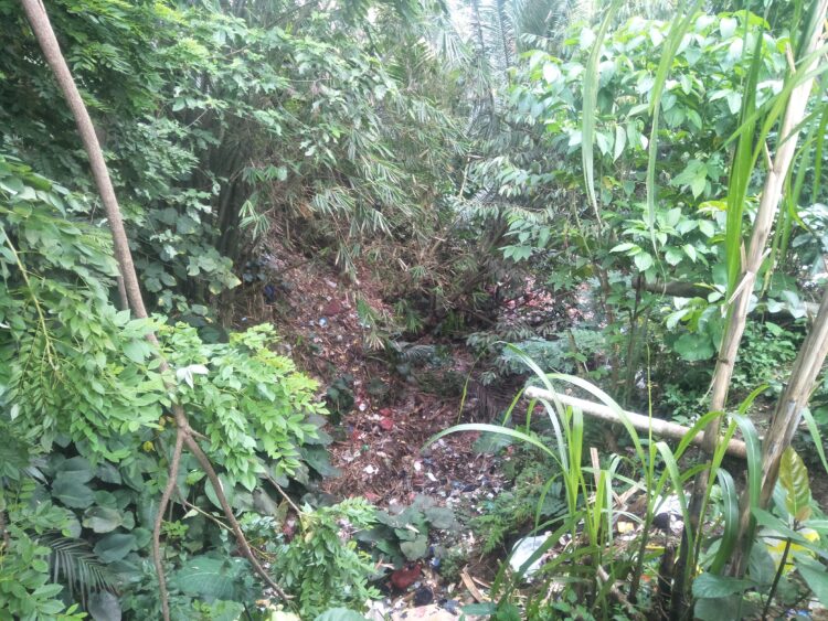 Warga Sepanjang Kali Mati Karangtanjung Khawatir, Tumpukan Sampah Bisa Memicu Penyakit DBD