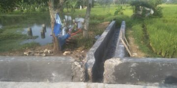 Selain Abaikan UU KIP, Proyek Rehabilitasi Irigasi di Citaman Juga Diduga Asal Jadi