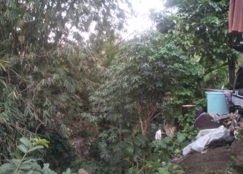 Kondisi Kalimati Karang Tanjung Semakin Ancam Keselamatan Warga