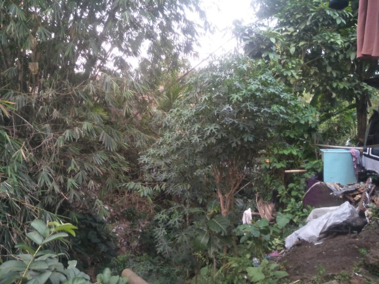 Kondisi Kalimati Karang Tanjung Semakin Ancam Keselamatan Warga