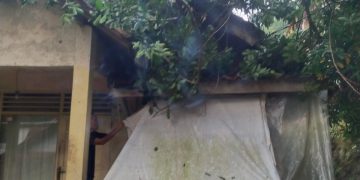 Cuaca Ekstrem dan Puting Beliung Rusak Puluhan Rumah dan Pohon Tumbang di Karangtanjung