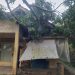 Cuaca Ekstrem dan Puting Beliung Rusak Puluhan Rumah dan Pohon Tumbang di Karangtanjung