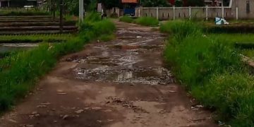 Warga Sebut Jalan di Desa Pakuluran Sebagai Wisata Seribu Lubang