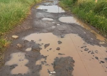 BPPKB PAC Koroncong Soroti Kondisi Jalan di Desa Pakuluran