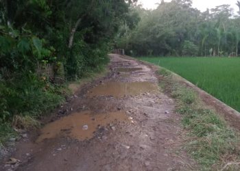 Mahasiswa Kritik Pemkab Lebak Terkait Jalan Rusak