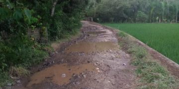 Mahasiswa Kritik Pemkab Lebak Terkait Jalan Rusak