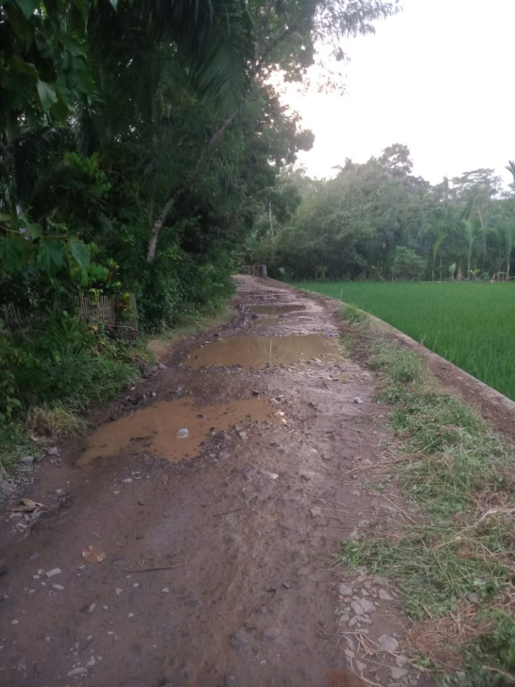 Mahasiswa Kritik Pemkab Lebak Terkait Jalan Rusak
