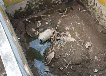 Diduga Akibat Limbah Perusahaan, Petani di Pandeglang Mengaku Sering Gagal Panen
