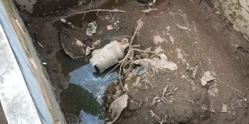 Diduga Akibat Limbah Perusahaan, Petani di Pandeglang Mengaku Sering Gagal Panen