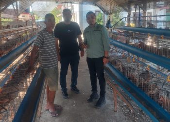 DPD Tani Merdeka Lakukan Edukasi Terhadap Usaha Peternakan Ayam Petelur Di Aceh Tamiang