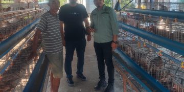 DPD Tani Merdeka Lakukan Edukasi Terhadap Usaha Peternakan Ayam Petelur Di Aceh Tamiang