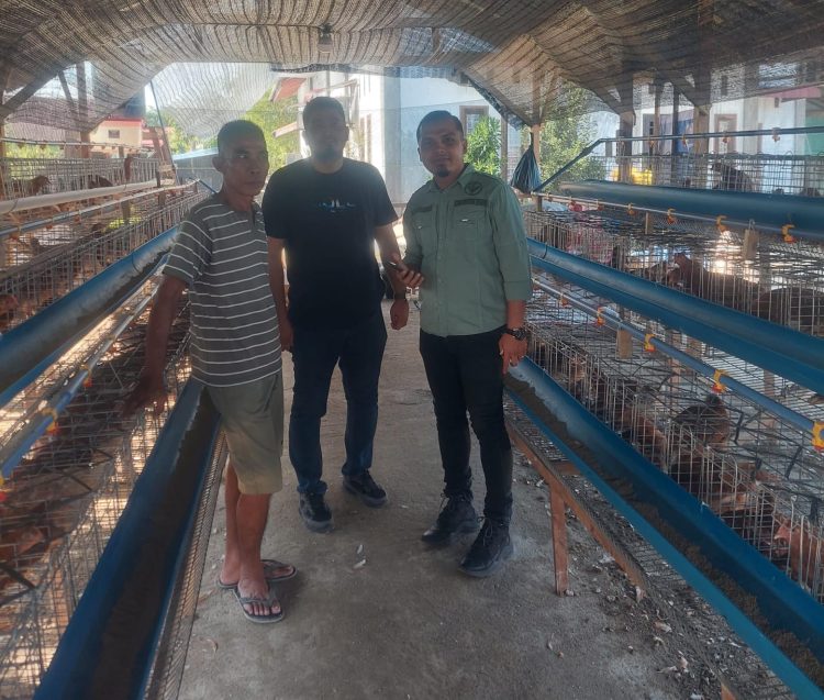 DPD Tani Merdeka Lakukan Edukasi Terhadap Usaha Peternakan Ayam Petelur Di Aceh Tamiang