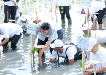 Wakil Presiden RI Hadiri Kegiatan Perlindungan dan Pengelolaan Ekosistem Mangrove di Kabupaten Tangerang