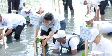 Wakil Presiden RI Hadiri Kegiatan Perlindungan dan Pengelolaan Ekosistem Mangrove di Kabupaten Tangerang