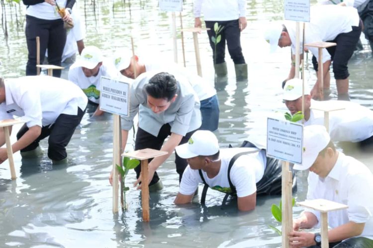 Wakil Presiden RI Hadiri Kegiatan Perlindungan dan Pengelolaan Ekosistem Mangrove di Kabupaten Tangerang