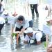 Wakil Presiden RI Hadiri Kegiatan Perlindungan dan Pengelolaan Ekosistem Mangrove di Kabupaten Tangerang
