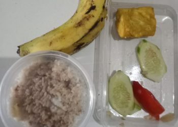 Menu MBG Balita di Majasari Disorot: Gizi Minim, Biaya Tak Seimbang