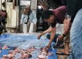 PPNI Bireuen Berbagi Qurban untuk Pengurus DPD dan DPK