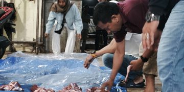 PPNI Bireuen Berbagi Qurban untuk Pengurus DPD dan DPK