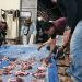 PPNI Bireuen Berbagi Qurban untuk Pengurus DPD dan DPK