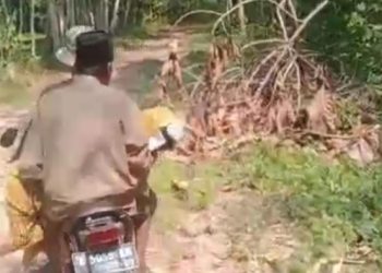 Viral, Warga Pandeglang Bawa Jenazah Pakai Motor Lewati Jalan Rusak
